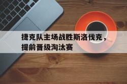 金年会下载官方-捷克队主场战胜斯洛伐克，提前晋级淘汰赛